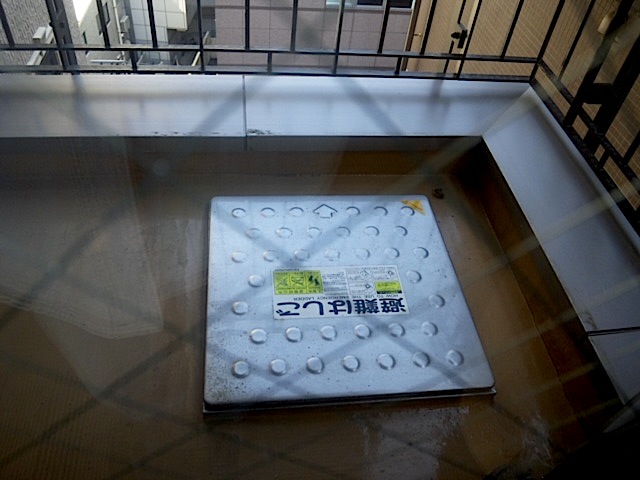 120405_145638.jpg