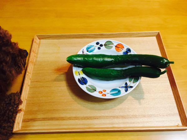 rblog-20170629202454-00.jpg