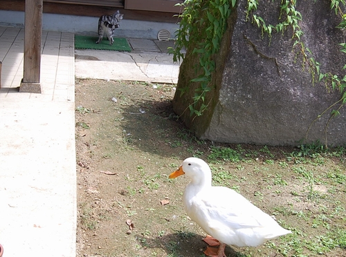 DSC_0114.JPG