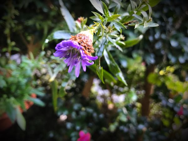 rblog-20161129163332-01.jpg