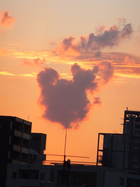 秋月食　空　2014 014.JPG