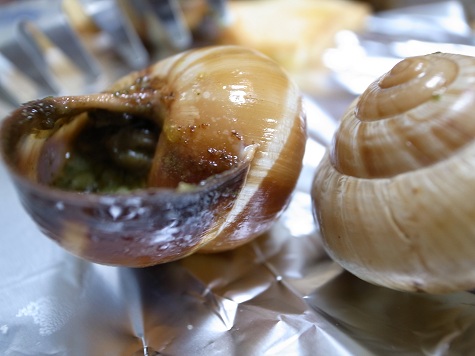 escargo1.jpg