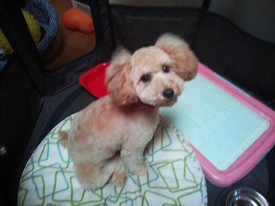 rblog-20140705200813-02.jpg