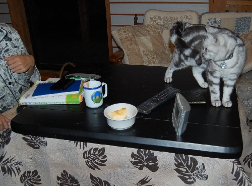 DSC_0012.JPG