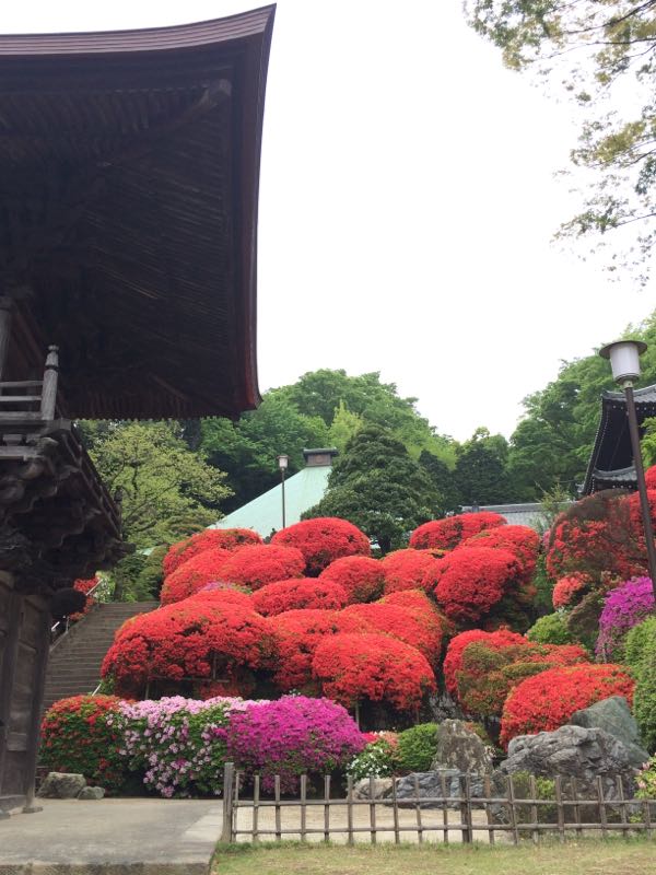 rblog-20160423090905-02.jpg
