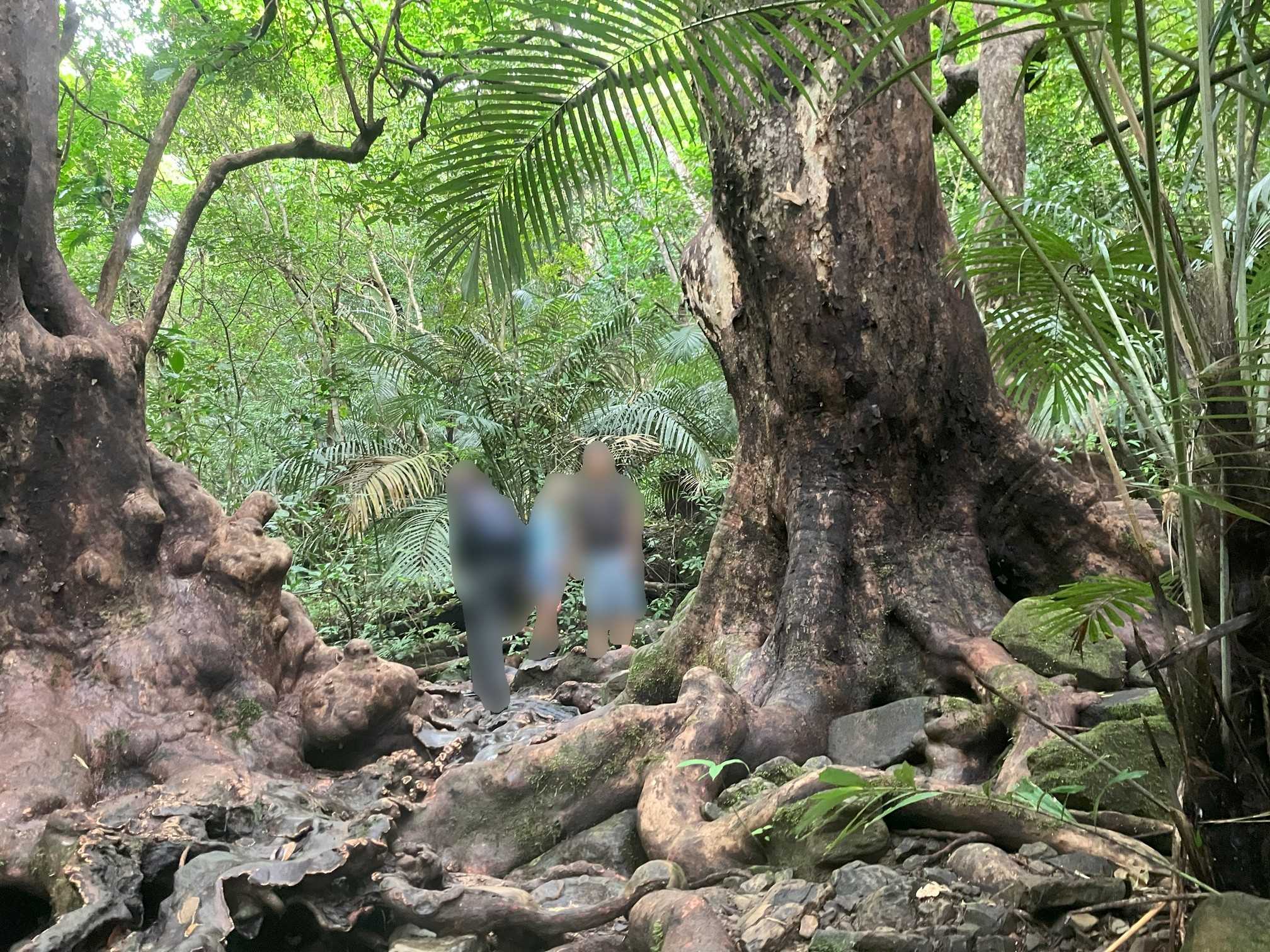 西表島　子連れアクティビティ　ピナイサーラの滝に向かってトレッキング