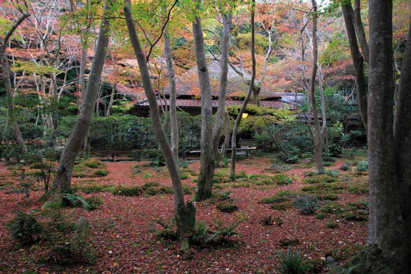 祇王寺_003.jpg