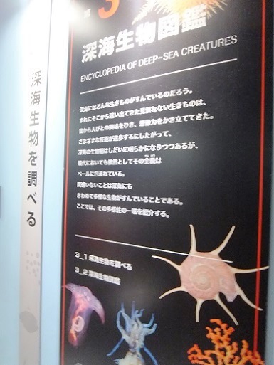 第三章深海生物図鑑.jpg
