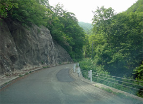 夏油34.jpg