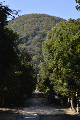 甲山23