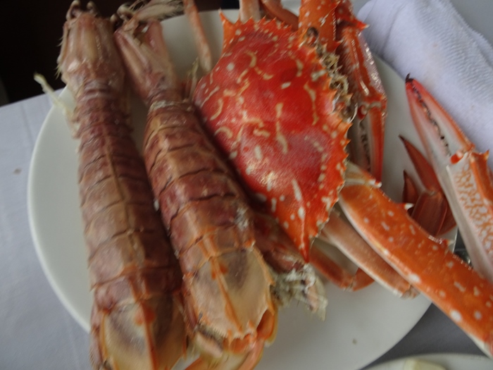 DSC09491_R.JPG
