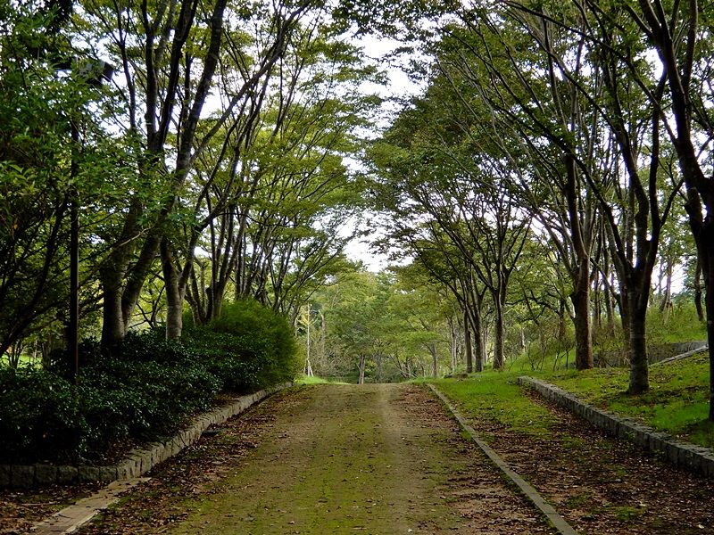 外周路6