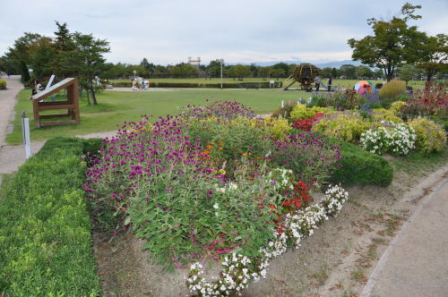 おおとぎの森公園