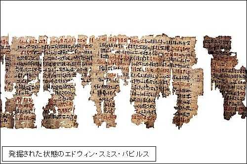 エドウィン・スミス・パピルス 耳(ミミ)とチャッピの布団 楽天ブログ