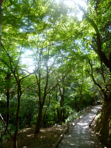 121 (375x500).jpg