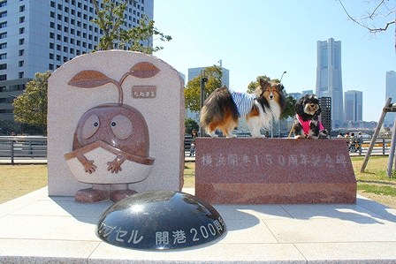 IMG_7908.jpg