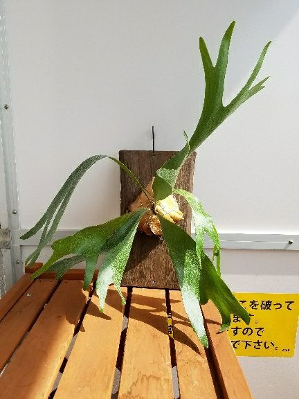 rblog-20180408121938-01.jpg
