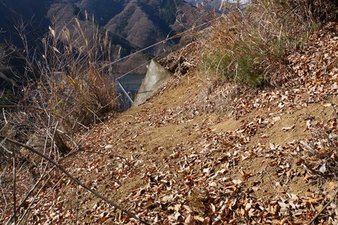 DSC08120.JPG