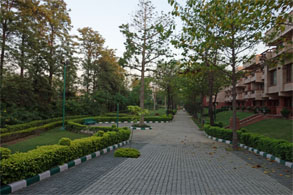 インド247.jpg