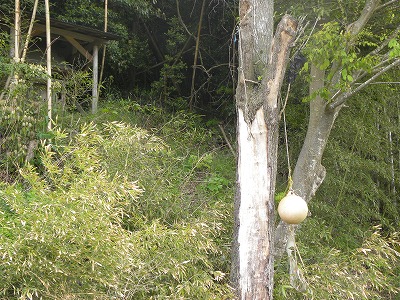 DSCN8905.jpg