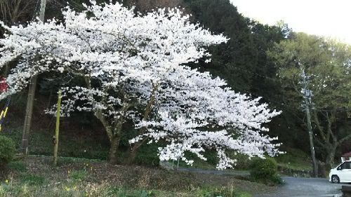 rblog-20180325054510-03.jpg