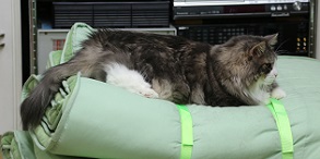 5DA_7409-9.jpg