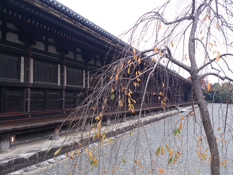 DSC_1889 - コピー.jpg