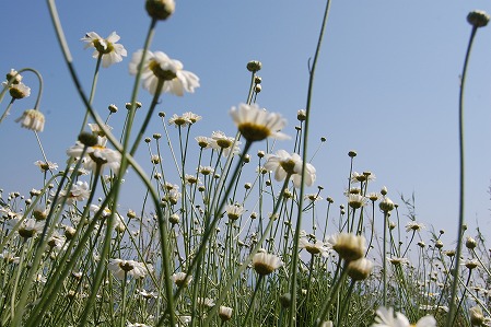 s-DSC_0372.jpg