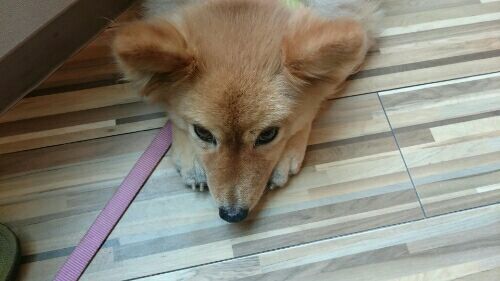 rblog-20161026232845-03.jpg