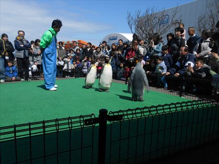 越前松島水族館