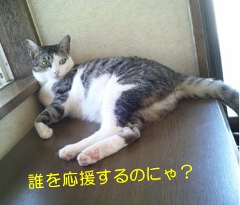 20120829_3.jpg