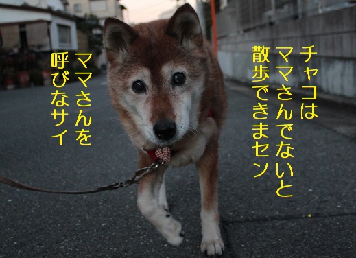 呼びなさい