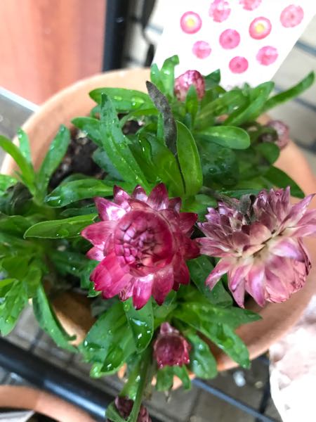 rblog-20180429183115-07.jpg