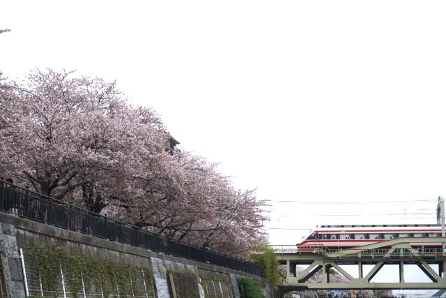 春のうららの隅田川♪東武 スカイツリー4