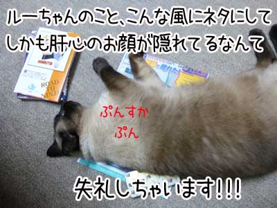 ちらし３.JPG