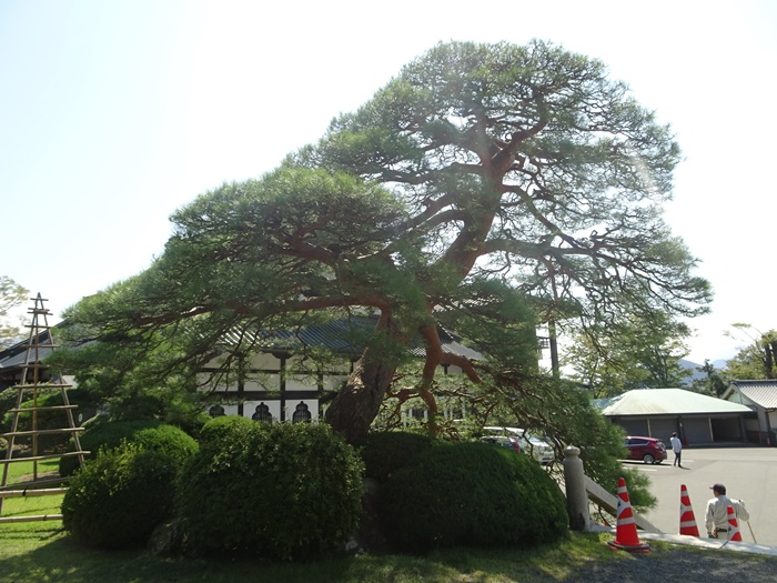 DSC00968_R.JPG