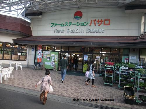 DSCF3515.jpg