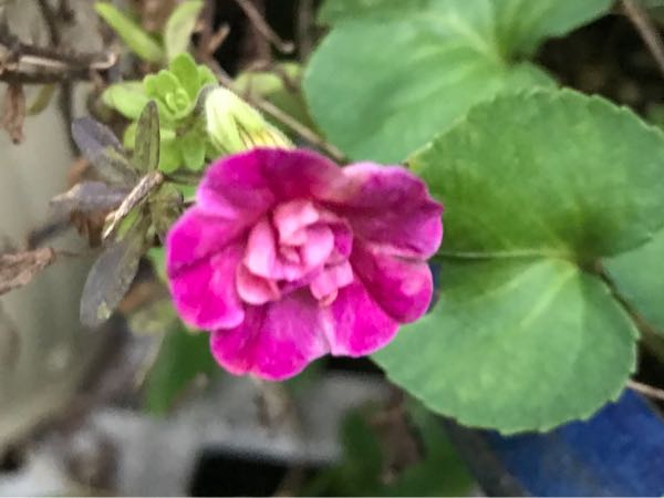 rblog-20181108170359-04.jpg