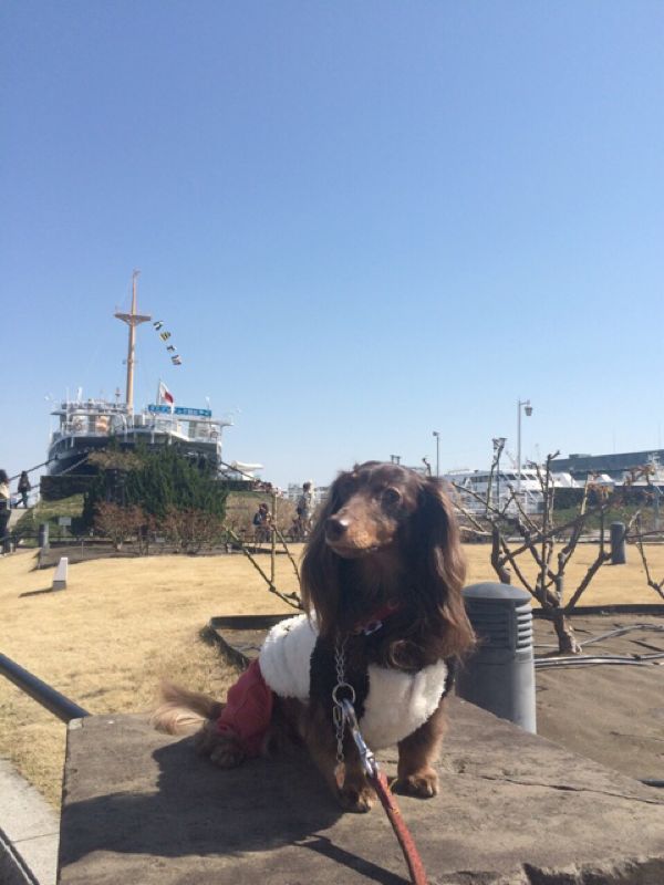 rblog-20140323182235-02.jpg