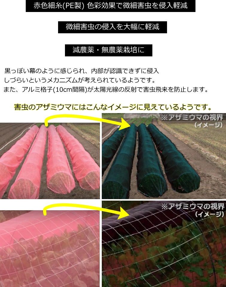 赤い防虫ネットでアザミウマ防除 葉山農園 4月上旬 暇人主婦の家庭菜園 楽天ブログ