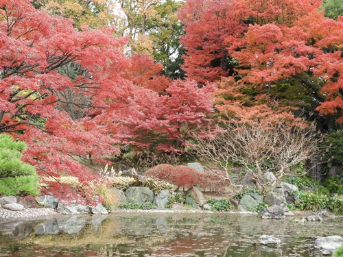 皇居東御苑