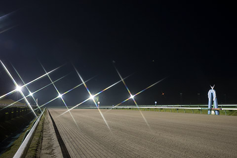 141013-1734+E3862.jpg