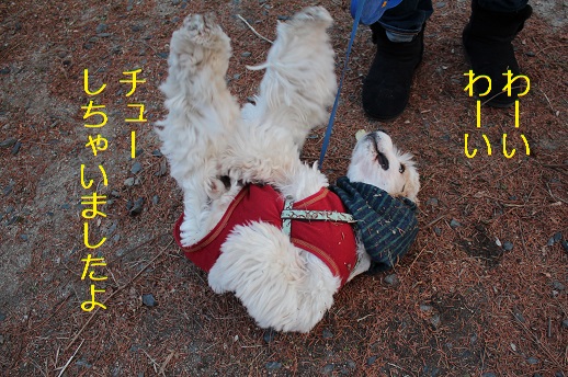 わーい