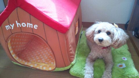 rblog-20140915102616-01.jpg
