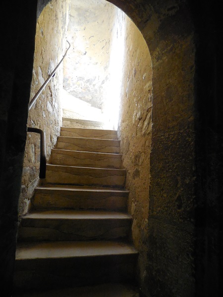 DSCN1286.jpg