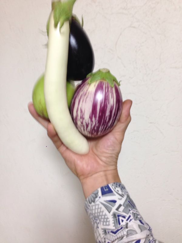 rblog-20161003002234-03.jpg