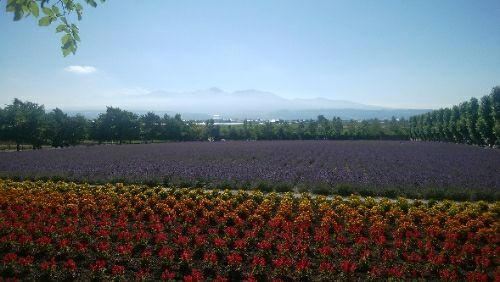 rblog-20180728082751-03.jpg