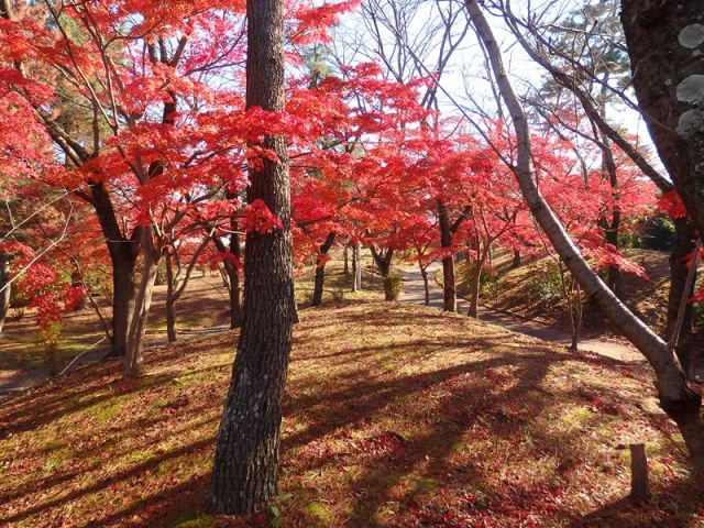 PC080089_8.jpg
