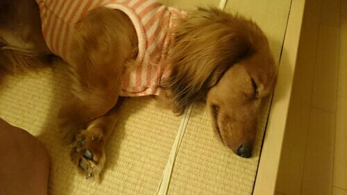 rblog-20160813213604-03.jpg