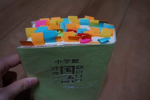 DSC07776.JPG